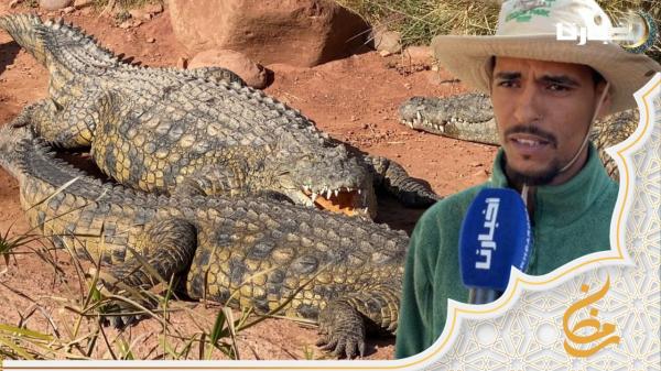 معلومات تعرفها لأول مرة عن حديقة التماسيح بأكادير